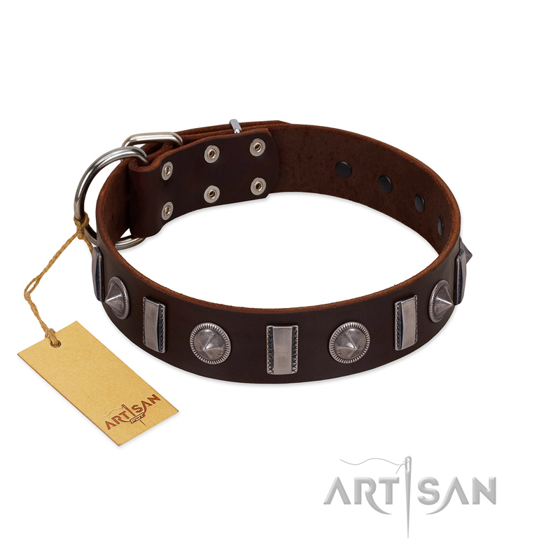 "Spiky Way" FDT Artisan Brown Leather Bullmastiff Collar with Silver-Like Decorations
