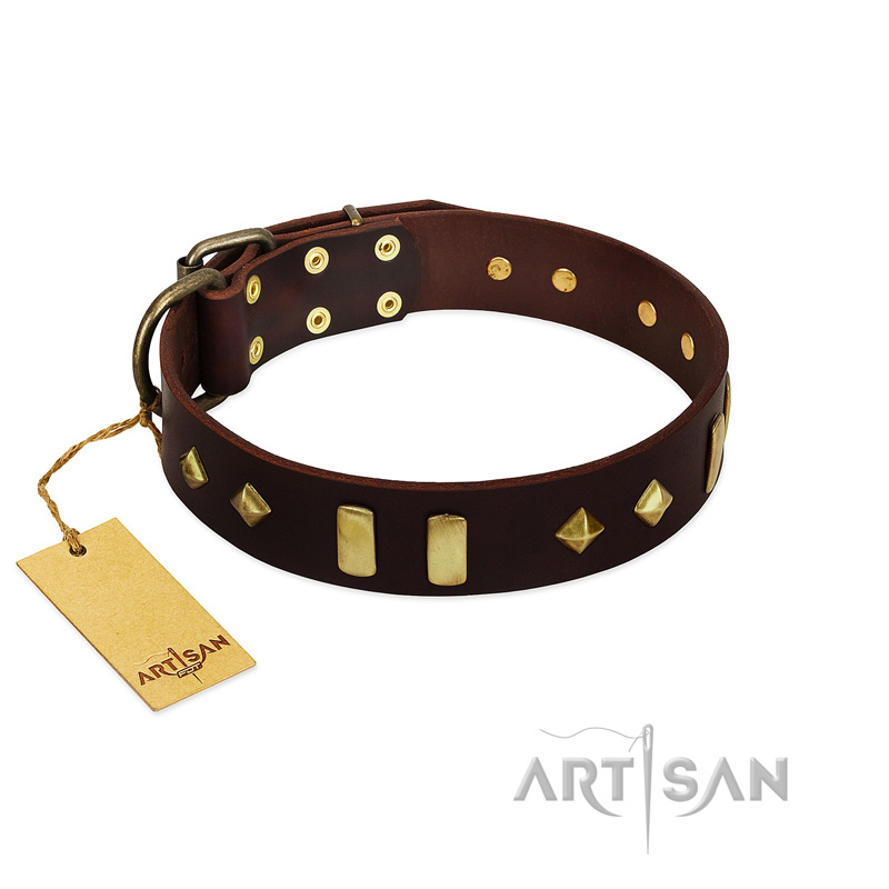 "Blinking Illusion" FDT Artisan Brown Leather Bullmastiff Collar with Old Bronze-like Studs and Plates