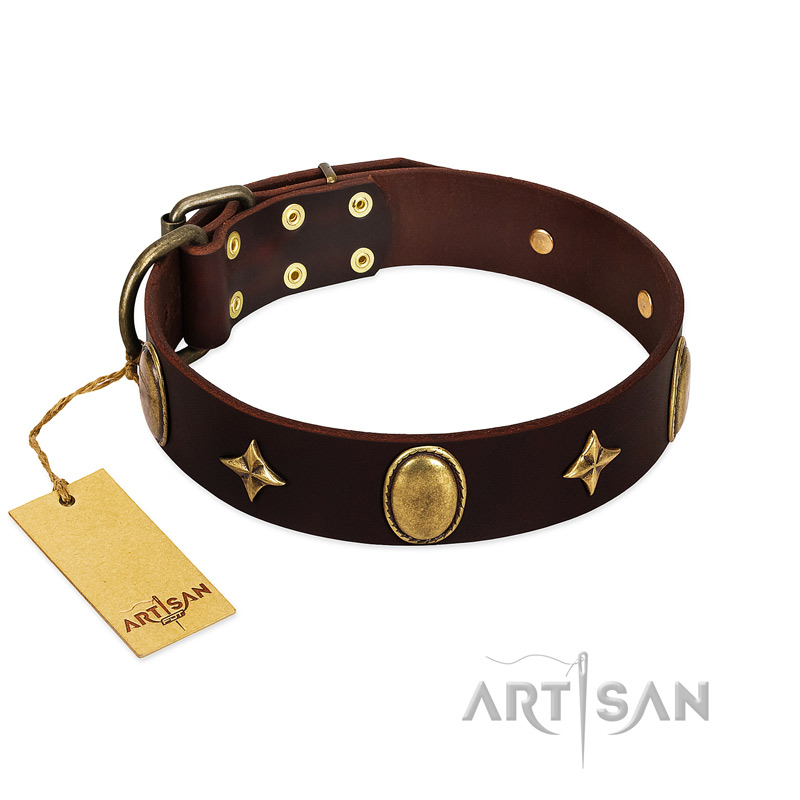 "Victory and Laurels" FDT Artisan Brown Leather Bullmastiff Collar with Ovals and Stars - Click Image to Close