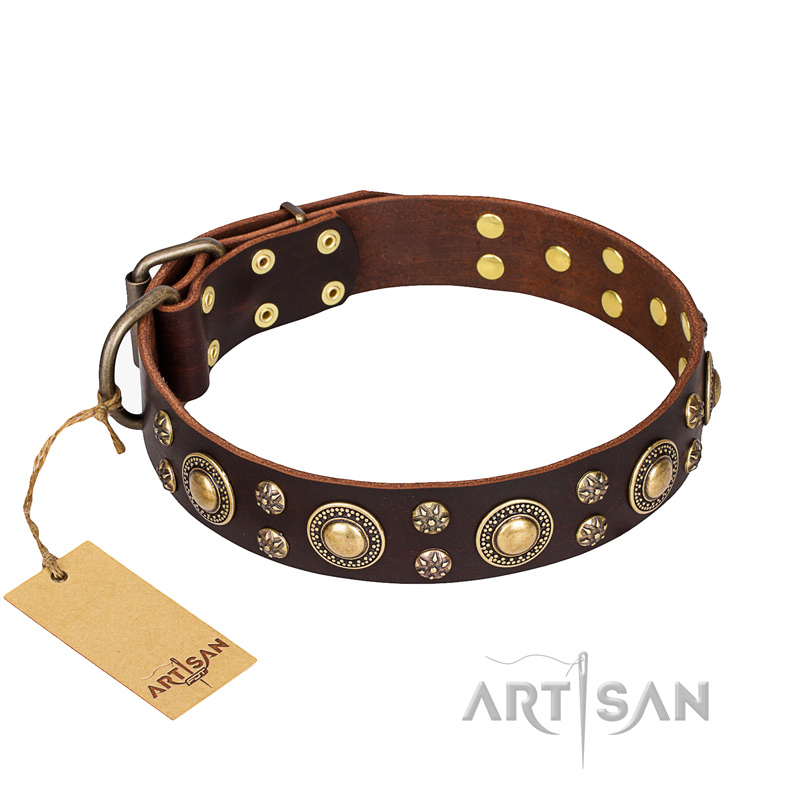 "Flower Melody" FDT Artisan Brown Leather Bullmastiff Collar with Mixed Studs