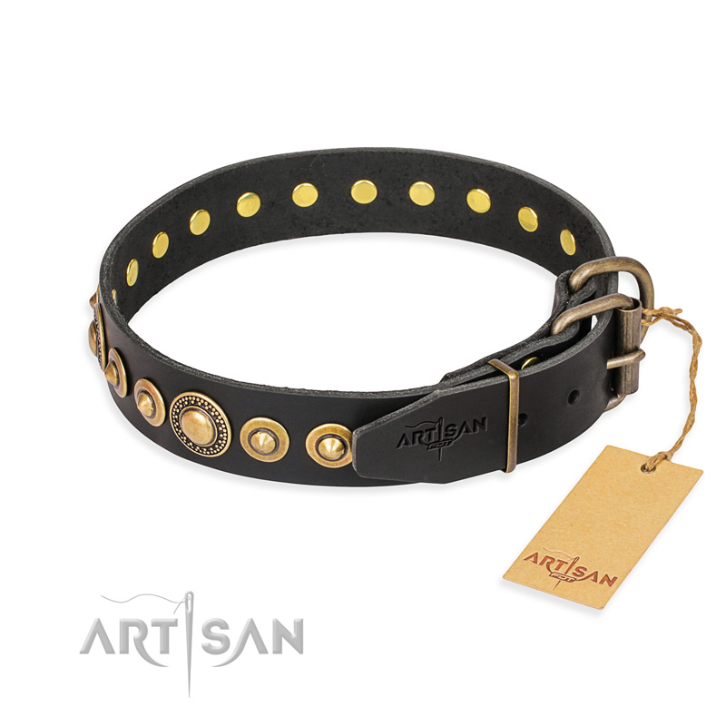 "Gold Mine" FDT Artisan Black Leather Bullmastiff Collar with Amazing Bronze-Plated Round Studs