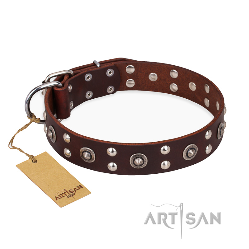 "Pirate Treasure" FDT Artisan Exciting Brown Leather Bullmastiff Collar with Studs - Click Image to Close