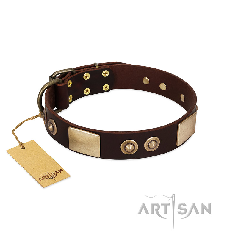 "Sense of Freedom" FDT Artisan Brown Leather Bullmastiff Collar with Old Bronze-Plated Studs and Plates
