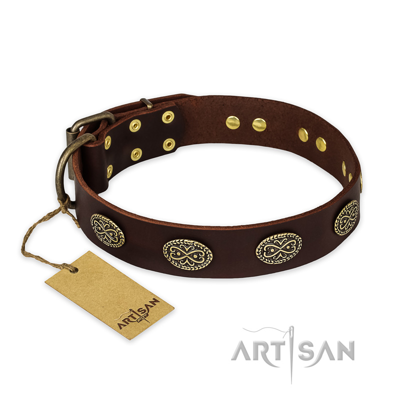 "Chocolate kiss" FDT Artisan Leather Bullmastiff Collar with Old Bronze Look Oval Plates