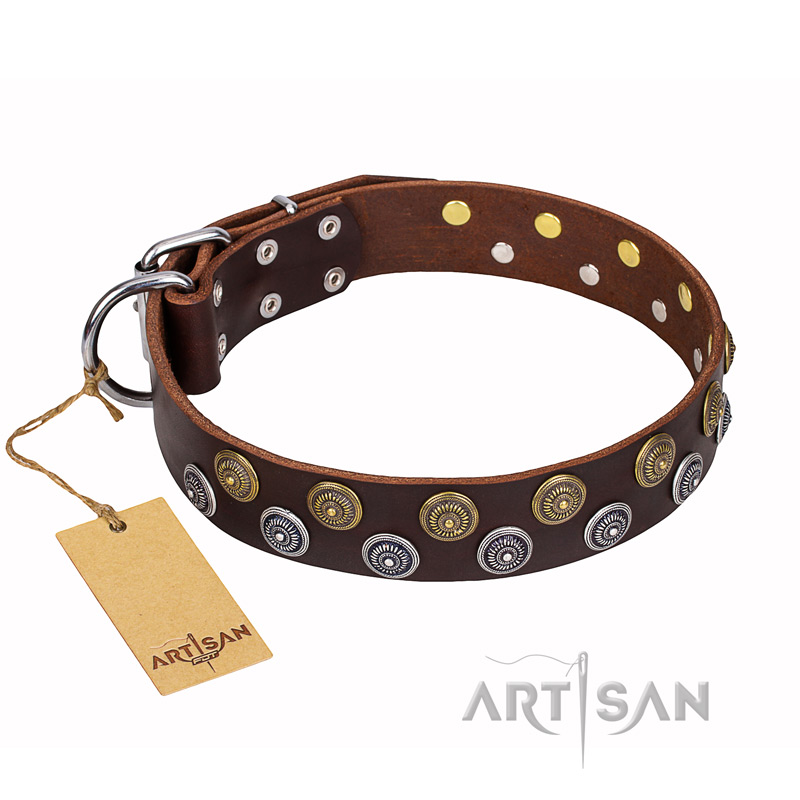 "Strong Shields" FDT Artisan leather Bullmastiff collar with stylish decorations