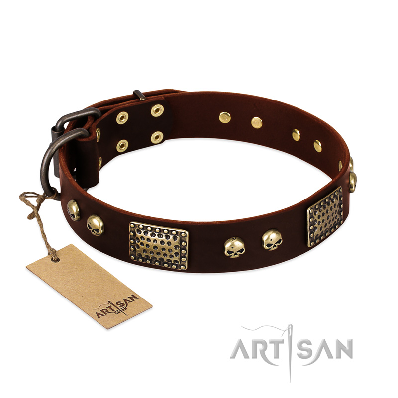 "Magic Amulet" Brown Leather Bullmastiff Collar with Skulls and Plates - Click Image to Close