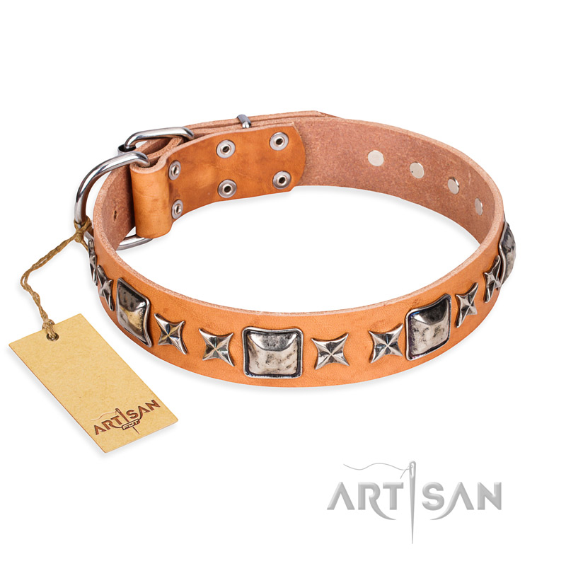 "Glamour Finery" FDT Artisan Female Bullmastiff collar of natural leather with stylish old-looking circles