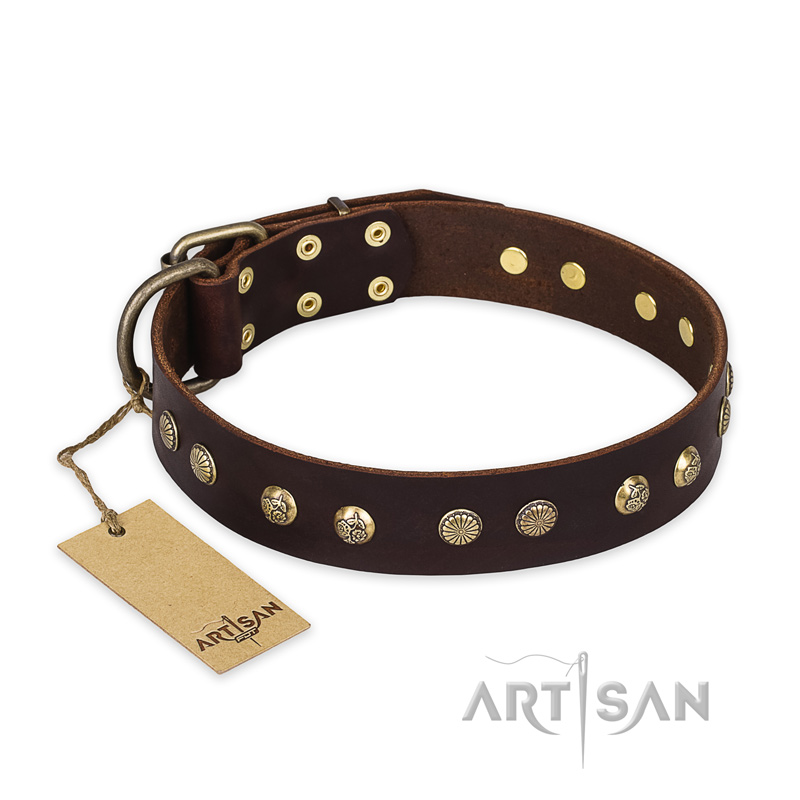 "Bronze Sheen" FDT Artisan Leather Bullmastiff Collar with Brass-Plated Studs