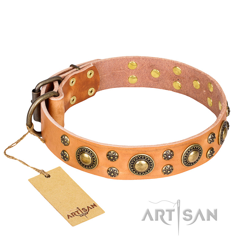 "Sophisticated Glamor" FDT Artisan Leather Bullmastiff Collar with Fancy Old Bronze-like Plated Decorations