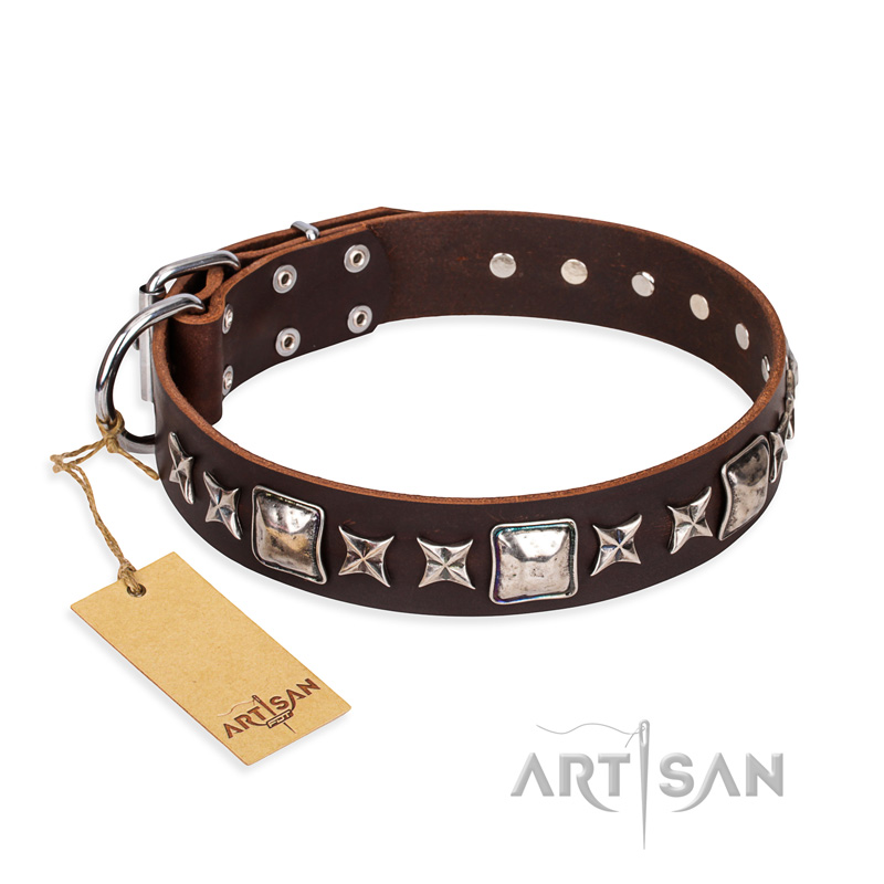 "Perfect Impression" FDT Artisan Brown Leather Bullmastiff Collar with Silvery Square Studs