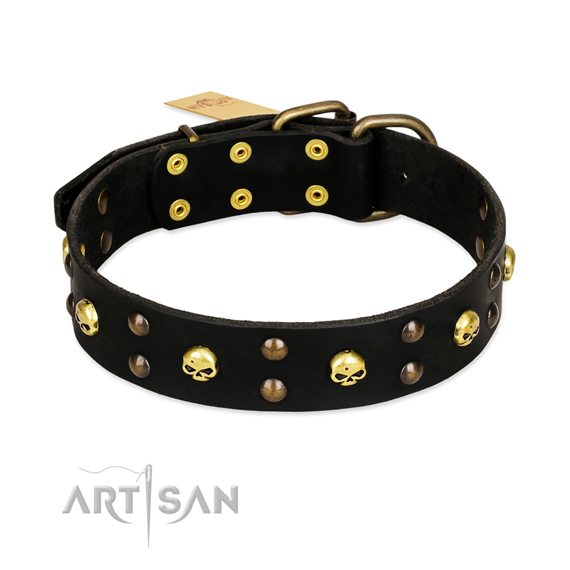 "Heavy Metal" Leather Bullmastiff Collar with Skulls and Studs 1 1/2 inch (40 mm)