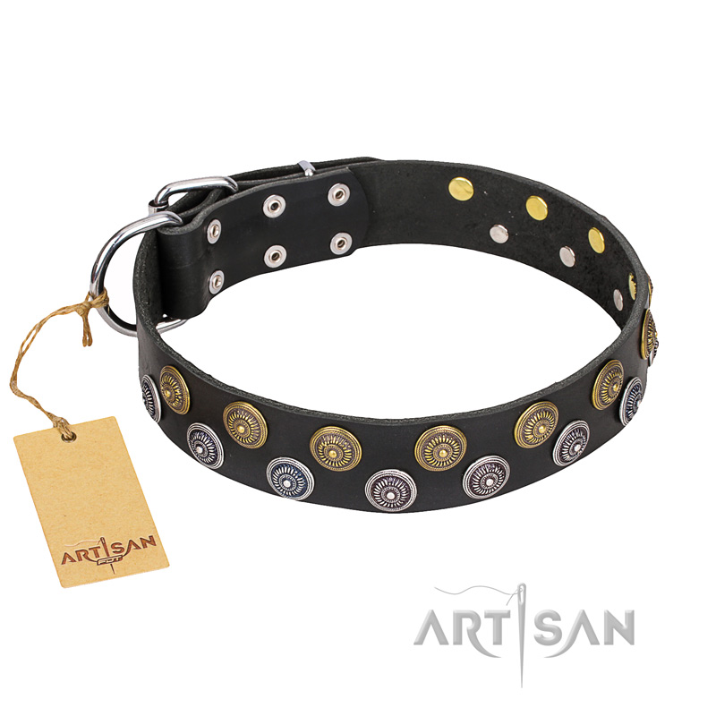 "Romantic Breeze" FDT Artisan Black Leather Bullmastiff Collar with Sparkling Circles