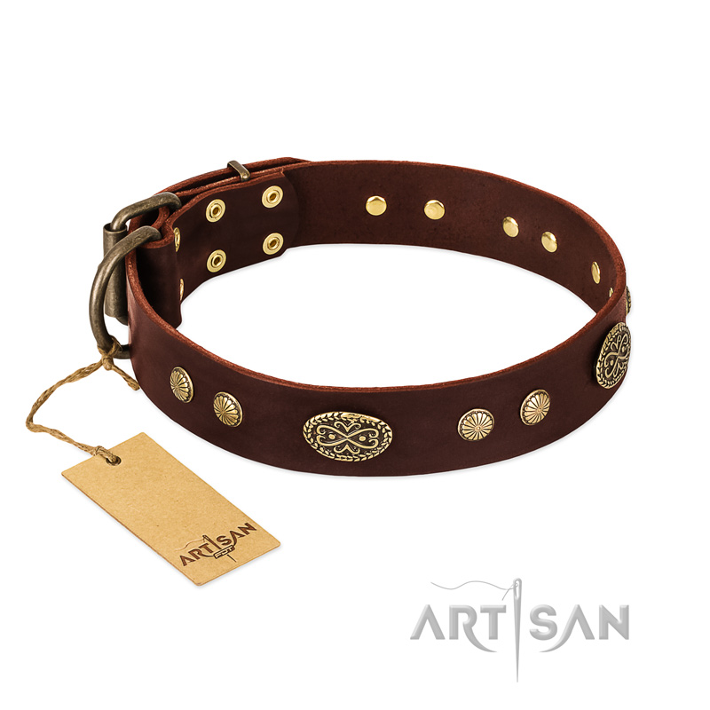 "Old-fashioned Glamor" FDT Artisan Brown Leather Bullmastiff Collar with Old Bronze Look Plates and Circles