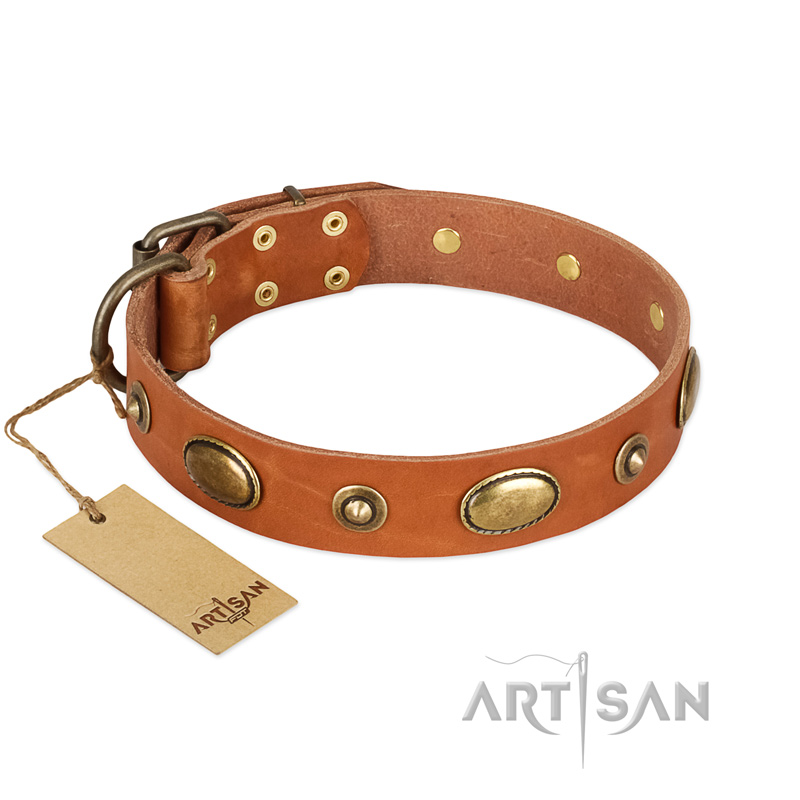 "Visual Magic" FDT Artisan Tan Leather Bullmastiff Collar for Daily Activities