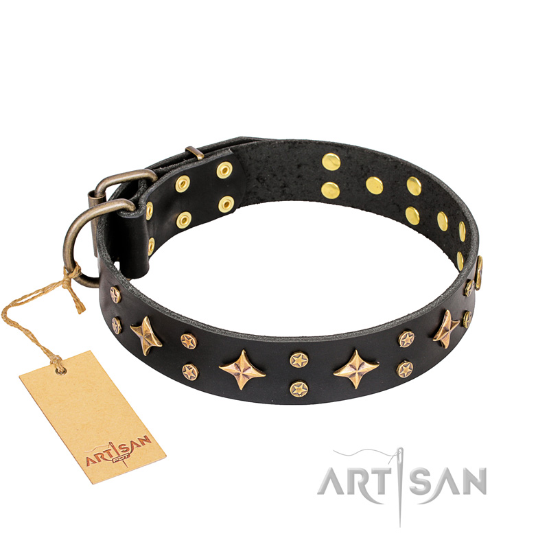 "A La Mode" FDT Artisan Handcrafted Black Leather Bullmastiff Collar