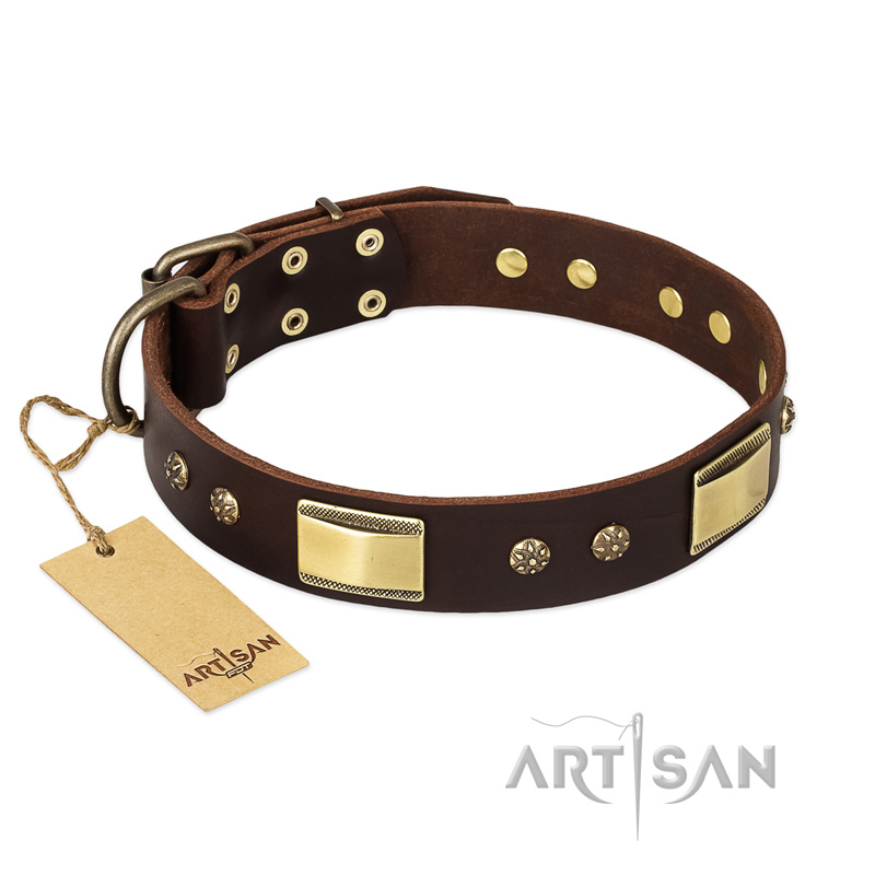 "Rich Fashion" FDT Artisan Decorated Leather Bullmastiff Collar with Plates and Studs