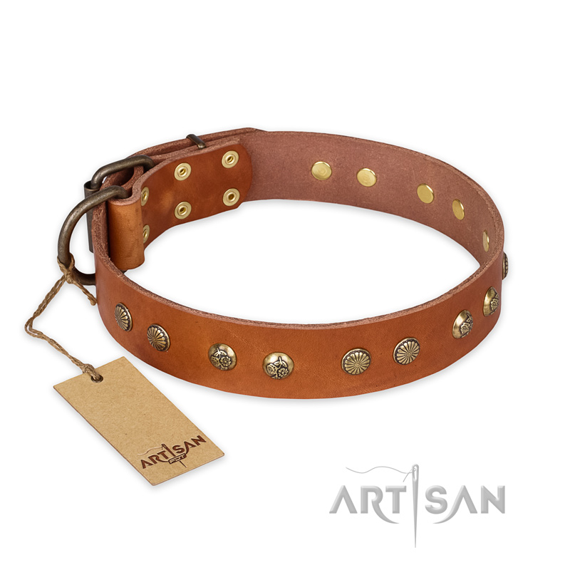 "Spring Flavor" FDT Artisan Adorned Leather Bullmastiff Collar with Old Bronze-Plated Engraved Studs