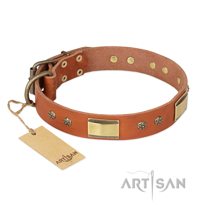 "Enchanting Spectacle" FDT Artisan Tan Leather Bullmastiff Collar with Old Bronze Look Plates and Round Studs