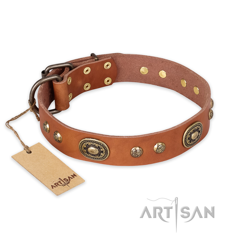 "Stunning Dress" FDT Artisan Tan Leather Bullmastiff Collar with Old Bronze Look Plates and Studs