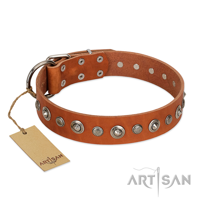"Gorgeous Roundie" FDT Artisan Tan Leather Bullmastiff Collar with Chrome-plated Circles