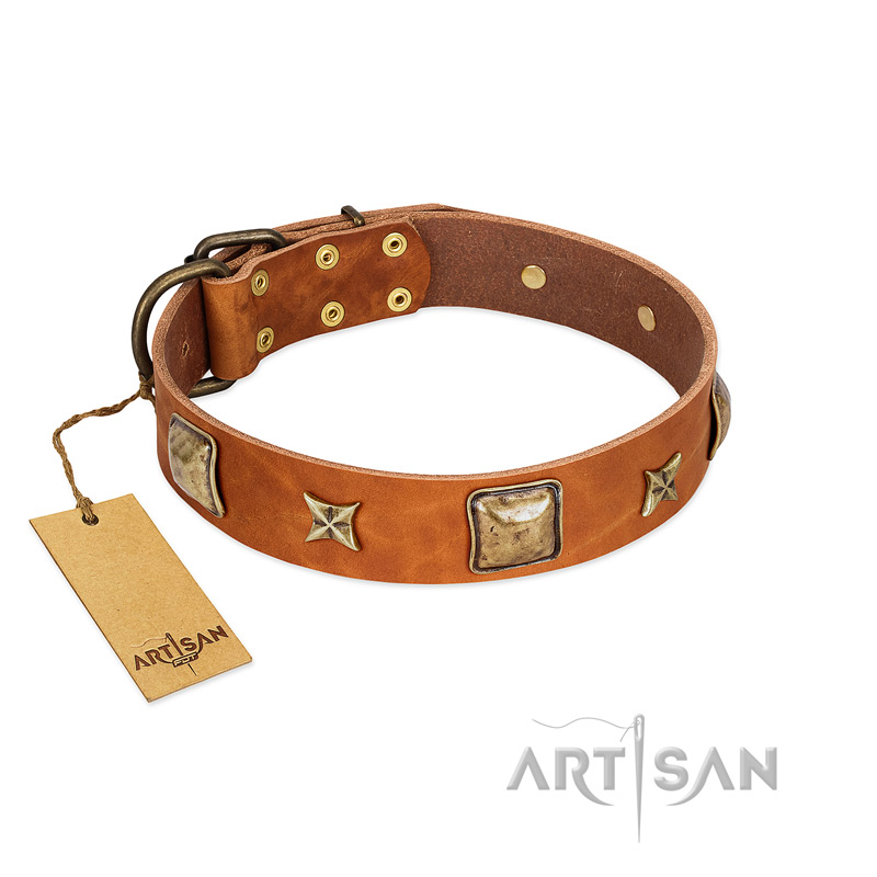 "Celtic Tunes" FDT Artisan Tan Leather Bullmastiff Collar Adorned with Stars and Squares - Click Image to Close
