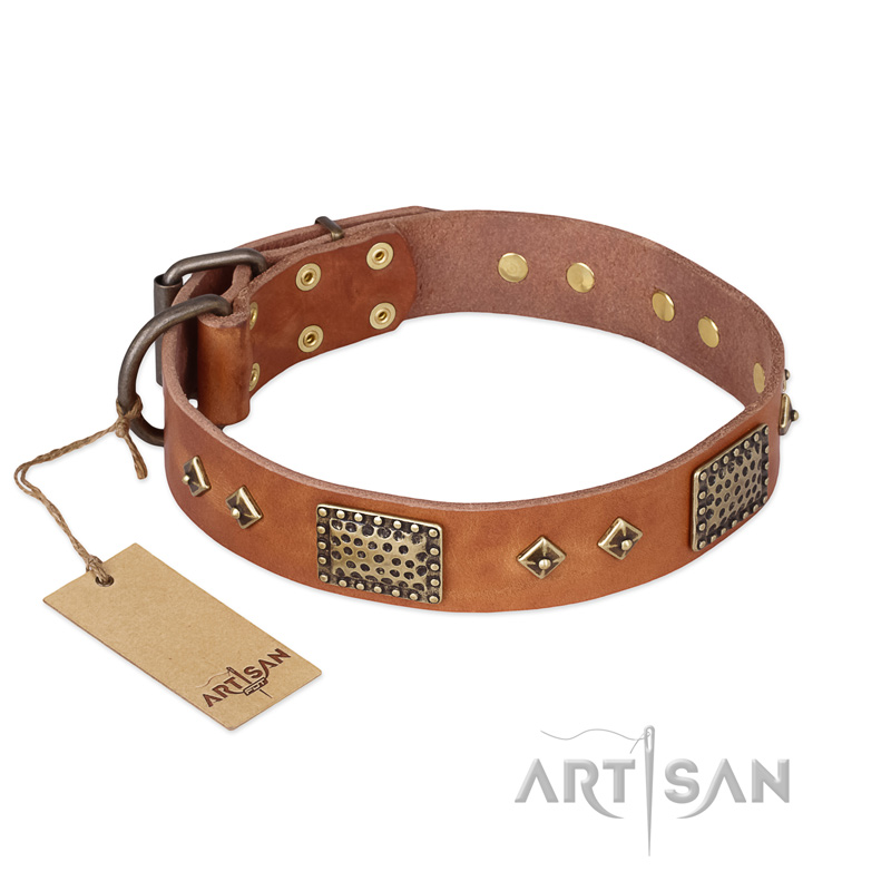 "Catchy Look" FDT Artisan Decorated Tan Leather Bullmastiff Collar