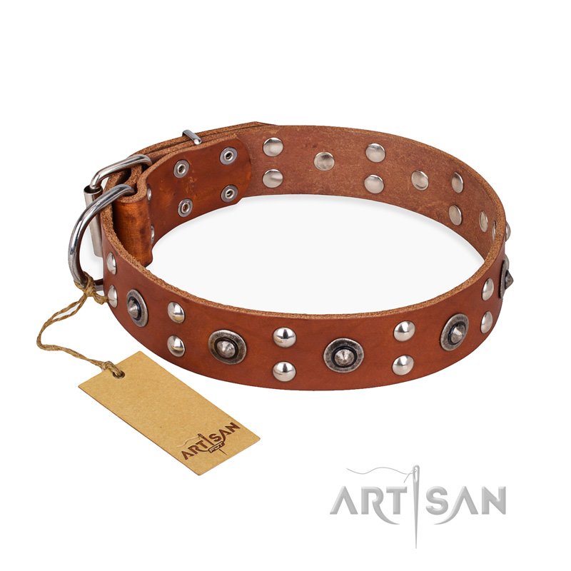 "Silver Elegance" FDT Artisan Decorated Leather Bullmastiff Collar with Old Silver-Like Plated Studs and Cones