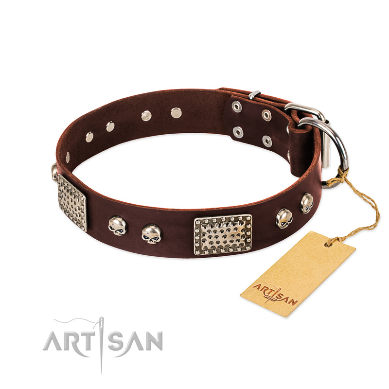 "Pirate Skull" FDT Artisan Brown Leather Bullmastiff Collar with Old Silver Look Plates and Skulls - Click Image to Close