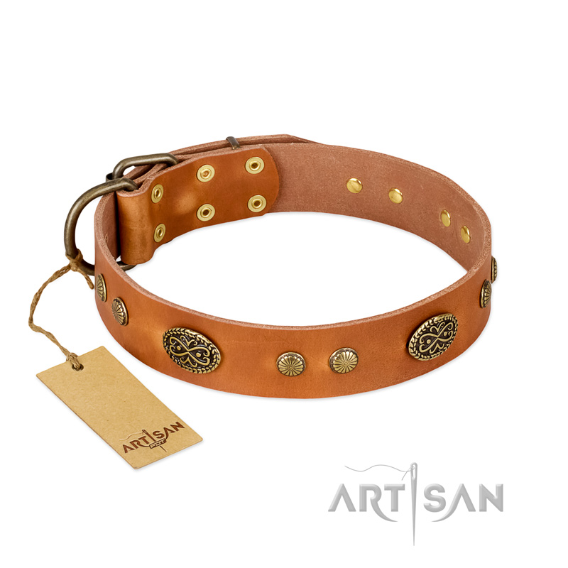 "Sun Beams" FDT Artisan Tan Leather Bullmastiff Collar with Decorations