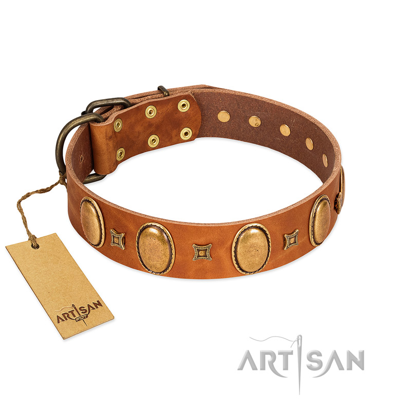 "Glossy Autumn" Designer Handmade FDT Artisan Tan Leather Bullmastiff Collar with Ovals and Studs