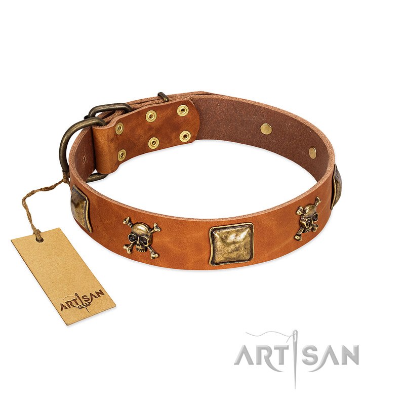 "Knights Templar" FDT Artisan Tan Leather Bullmastiff Collar with Skulls and Crossbones Combined with Squares