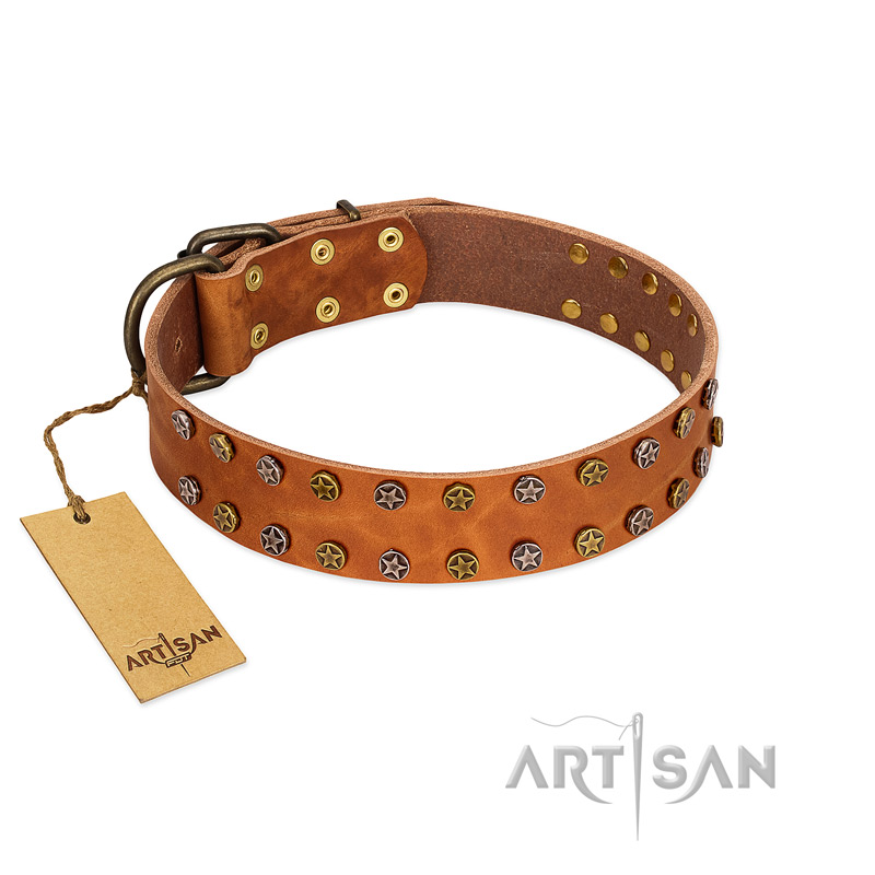 "Walk and Shine" FDT Artisan Tan Leather Bullmastiff Collar with Antiqued Studs