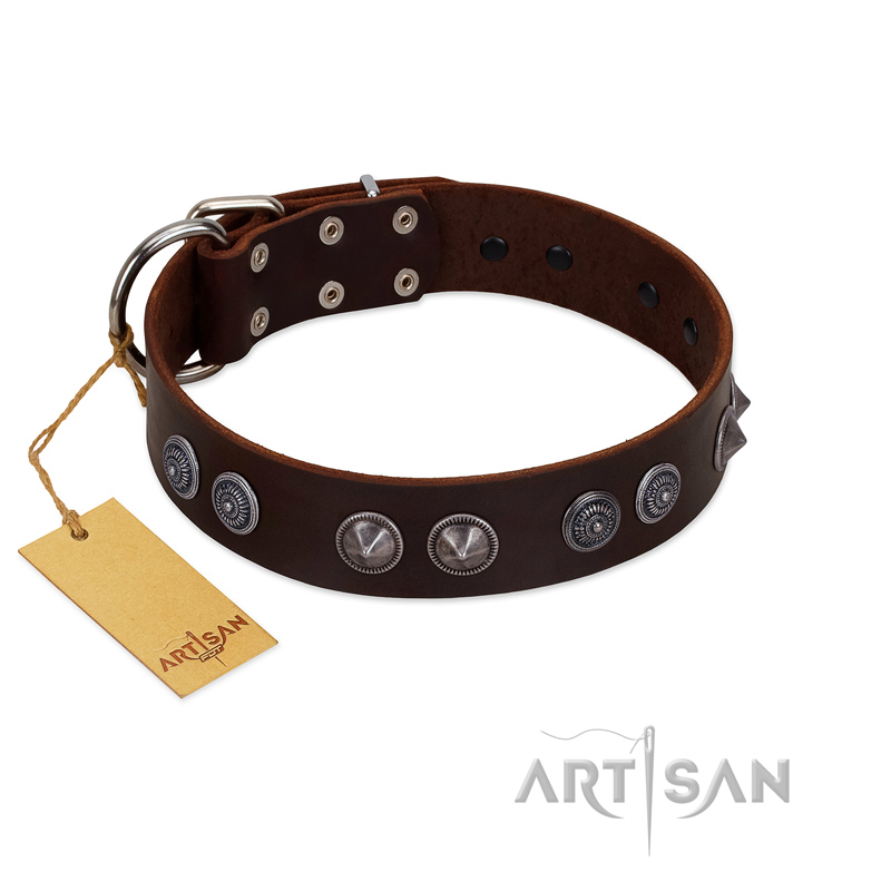 "King Arthur" FDT Artisan Brown Leather Bullmastiff Collar with Spiky Plates