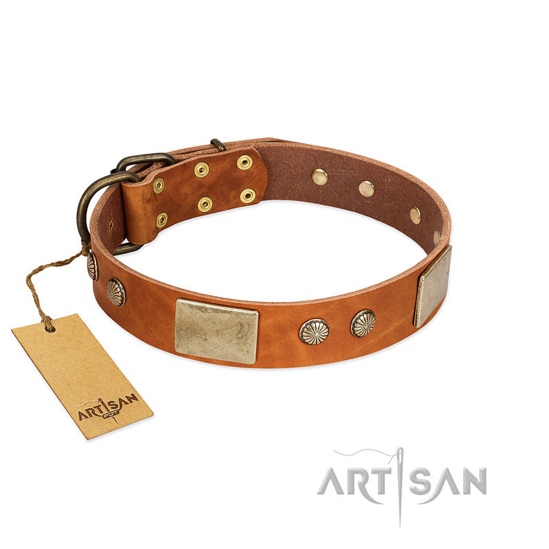 "Ancient Treasures" FDT Artisan Tan Leather Bullmastiff Collar with Antiqued Plates and Studs