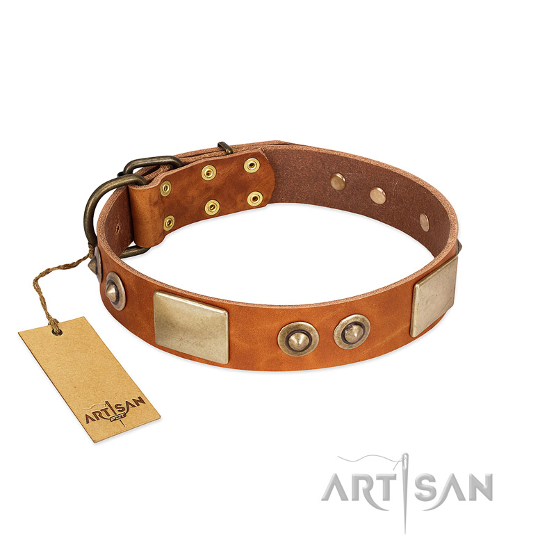 "Perfect Blend" FDT Artisan Tan Leather Bullmastiff Collar 1 1/2 inch (40 mm) wide