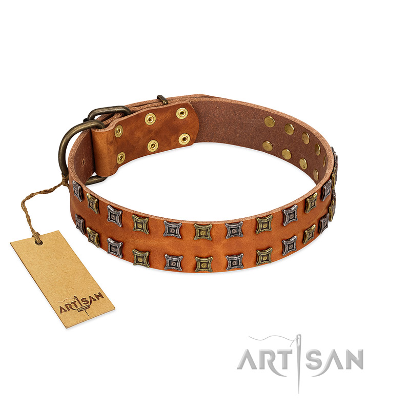 "Terra-cotta" FDT Artisan Tan Leather Bullmastiff Collar with Two Rows of Studs