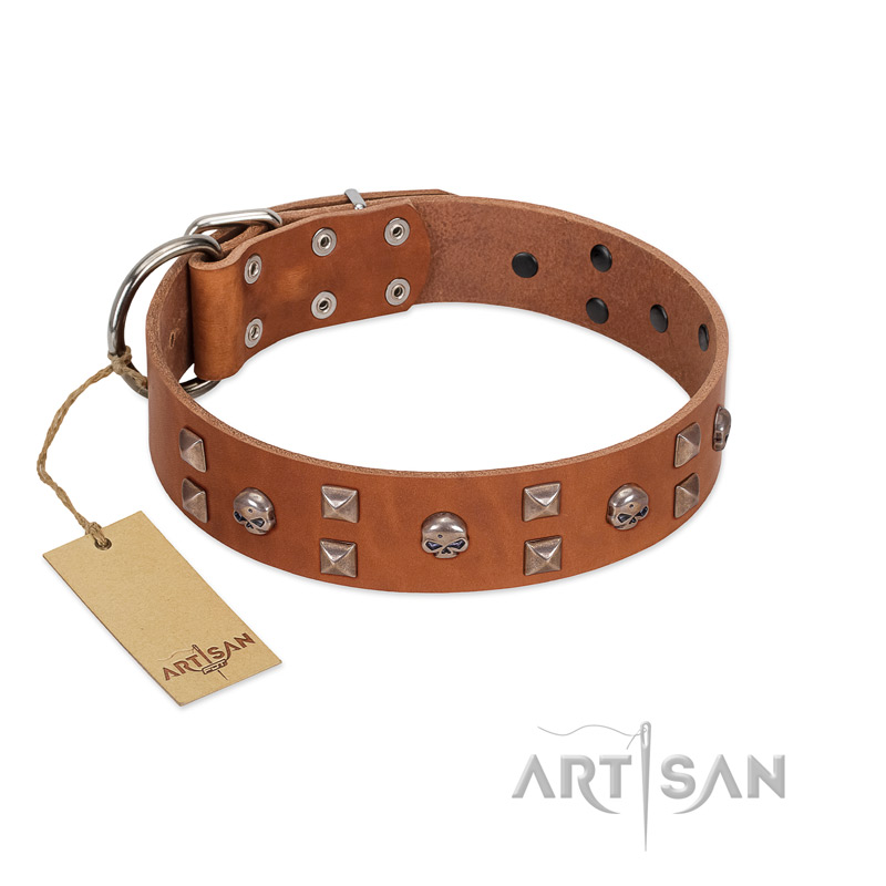 "Enchanted Skulls" FDT Artisan Tan Leather Bullmastiff Collar with Chrome Plated Skulls
