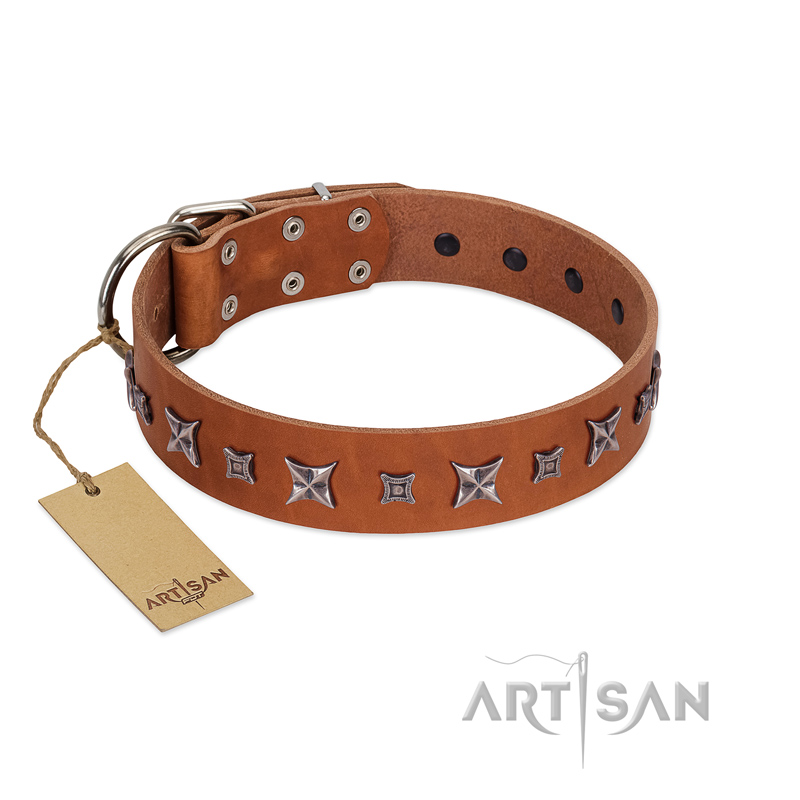 "Star Shine" Exclusive FDT Artisan Tan Leather Bullmastiff Collar with Silver-Like Adornments