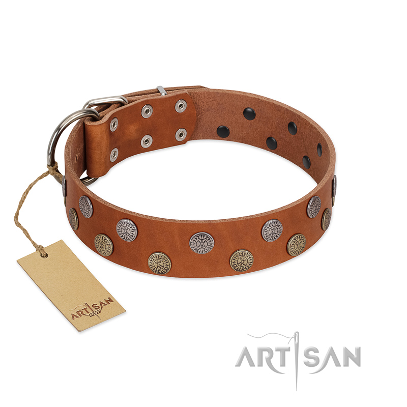 "Ancient Symbol" Trendy FDT Artisan Tan Leather Bullmastiff Collar with Silver- and Gold-Like Studs