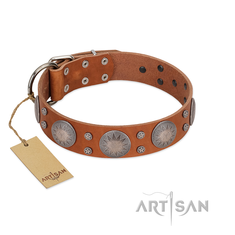 "Far Star" FDT Artisan Tan Leather Bullmastiff Collar with Engraved Studs