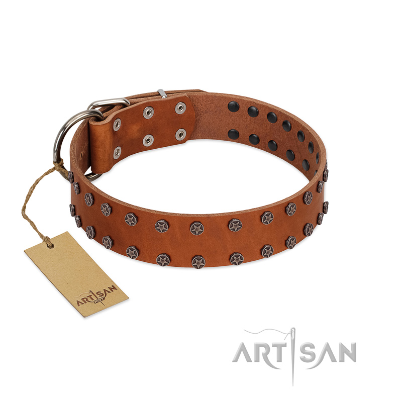 "Star Light" Stylish FDT Artisan Tan Leather Bullmastiff Collar with Silver-Like Studs