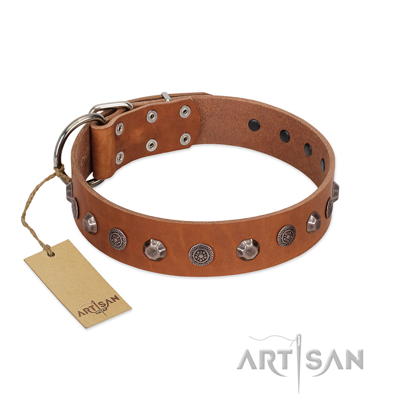 "Silver Age" Fashionable FDT Artisan Tan Leather Bullmastiff Collar with Silver-Like Studs