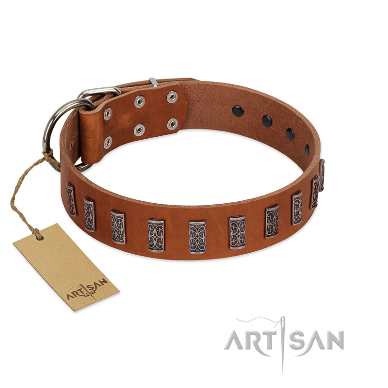 "Silver Century" Fashionable FDT Artisan Tan Leather Bullmastiff Collar with Silver-Like Plates