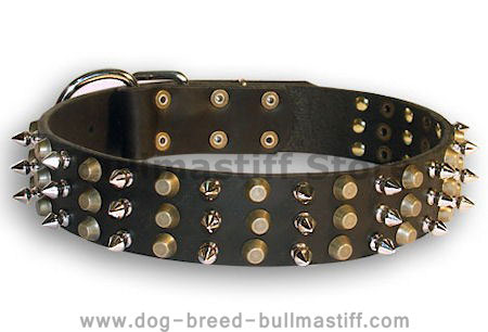 Easy Adjustable Stylish Decorated Leahter Bullmastiff Collar