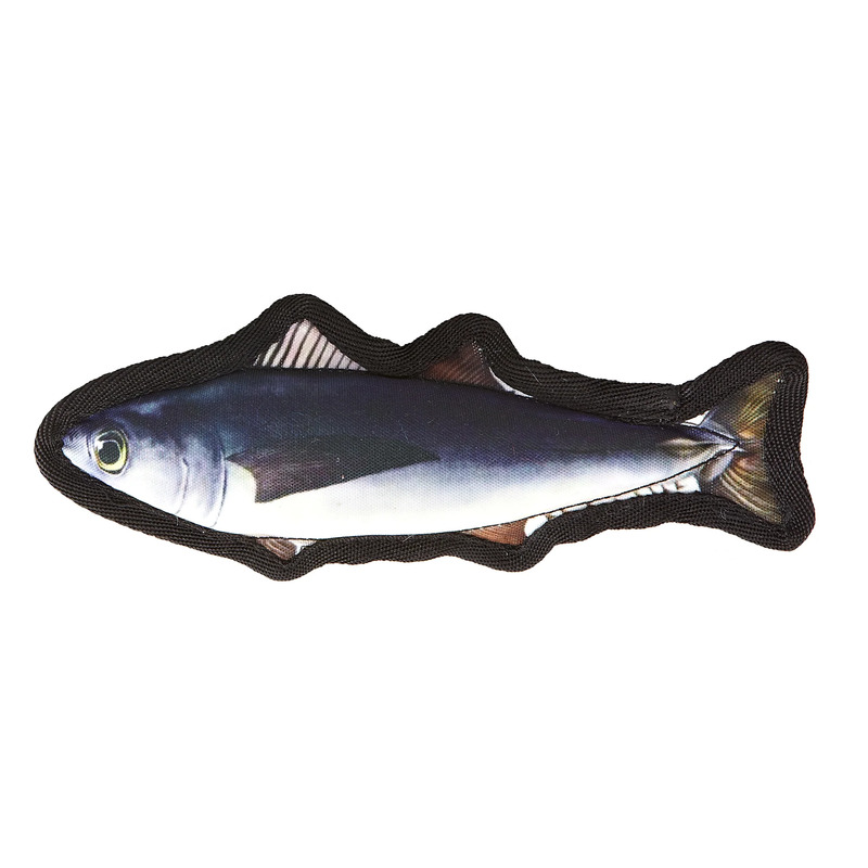 8" Tropical Trout Small - Click Image to Close