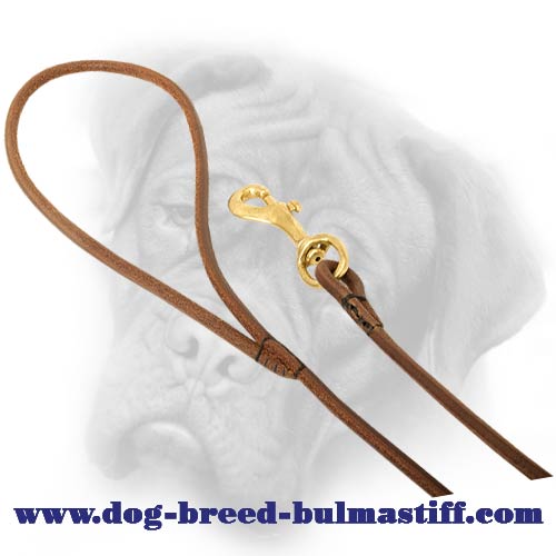 Fashionable leather dog leash