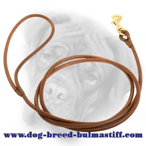 Leather dog Leash equipped with snap hook