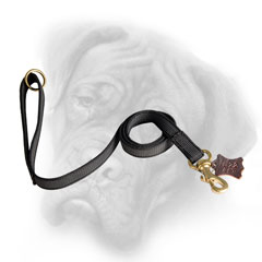 Outstanding nylon Bullmastiff leash for effective  training