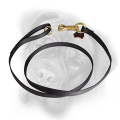 Extra durable Bullmastiff leash for intensive usage