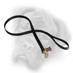 Nylon Bullmastiff leash resistant to water